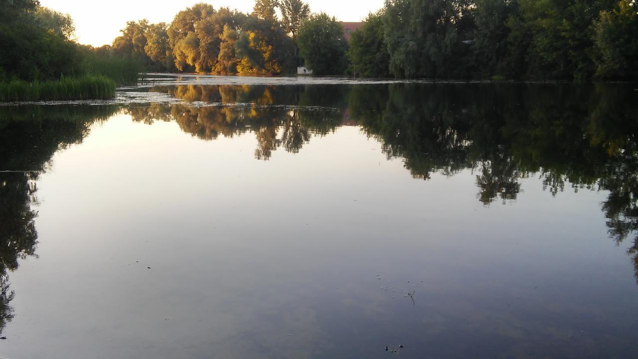 Bambukovyi Gai Leilighet Kiev Eksteriør bilde